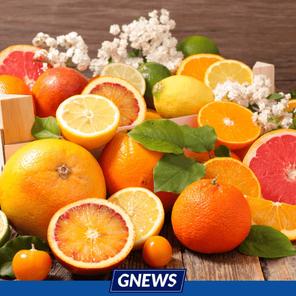 Frutas cítricas podem prevenir câncer de próstata