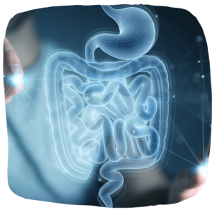 Abordagem Gastrointestinal