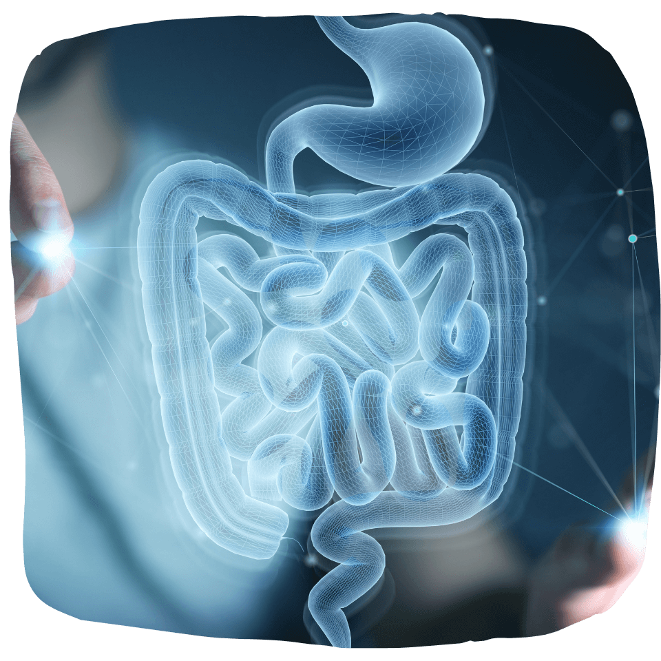 Abordagem Gastrointestinal