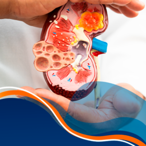 Nutrição no Paciente Renal