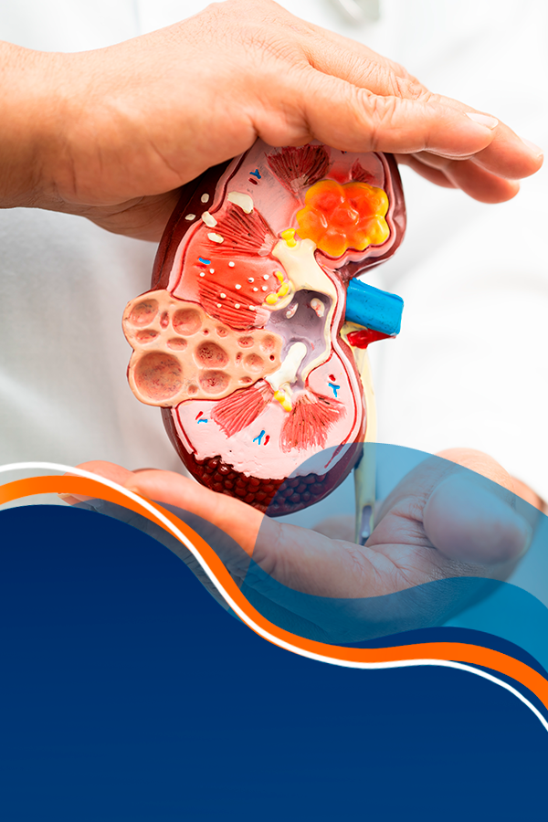 Nutrição no Paciente Renal