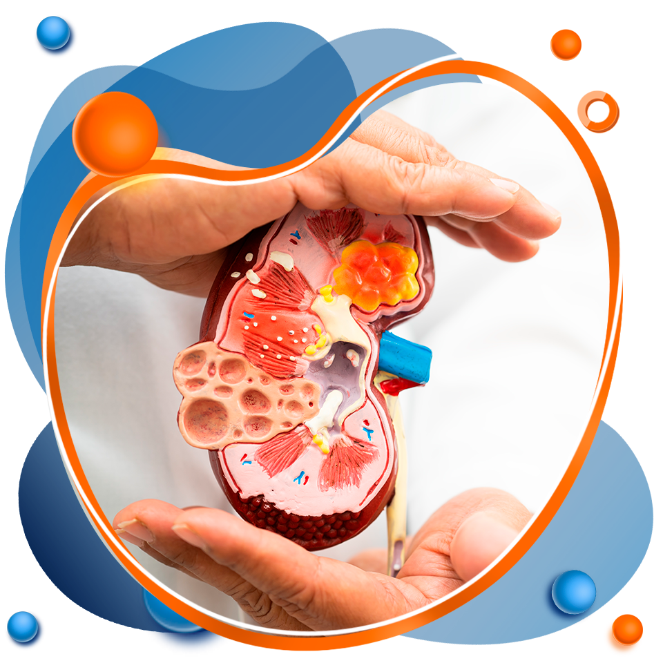 Nutrição no paciente renal