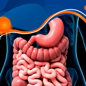 Terapia Nutricional Enteral e Parenteral nas Doenças do Aparelho Digestório