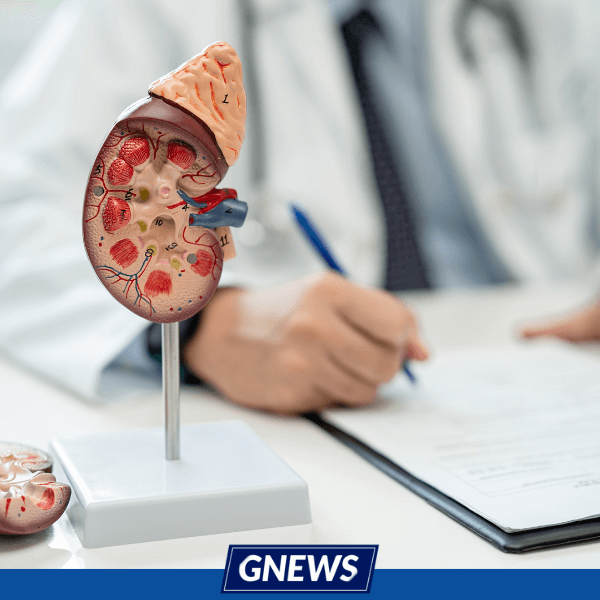 lesão renal aguda