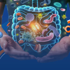 Microbiota Intestinal
